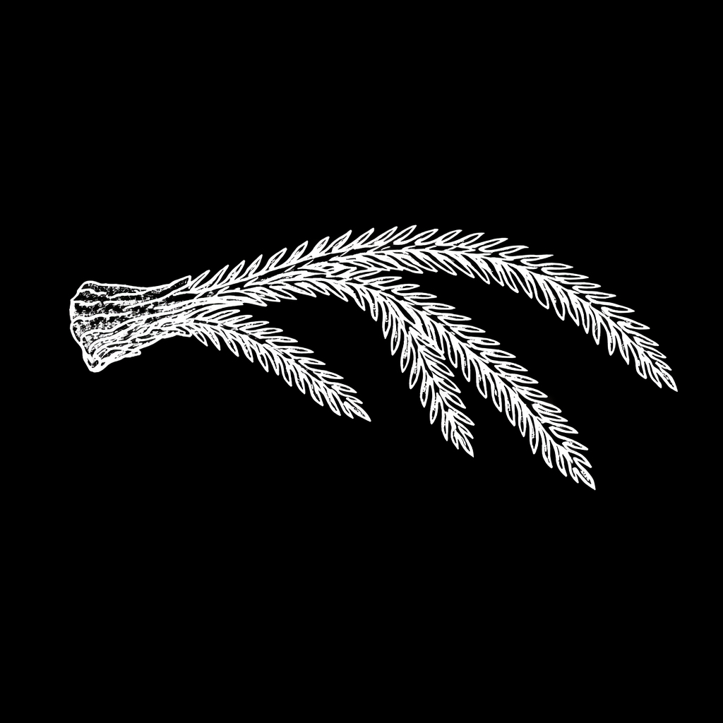Behind the Logo
