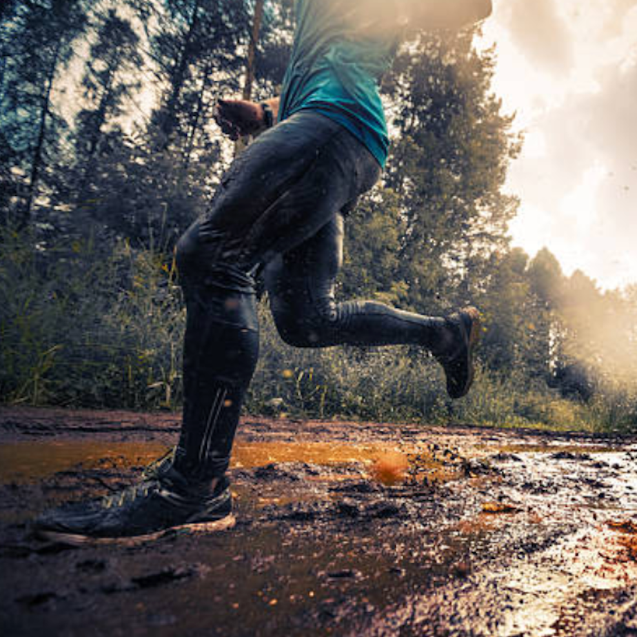 The Trail